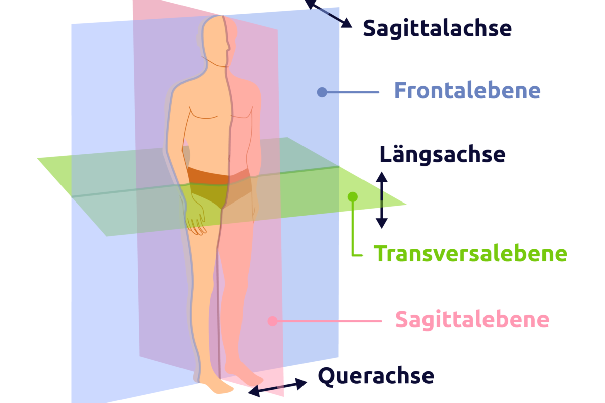 Körperachsen & Körperebenen - Pflegerio