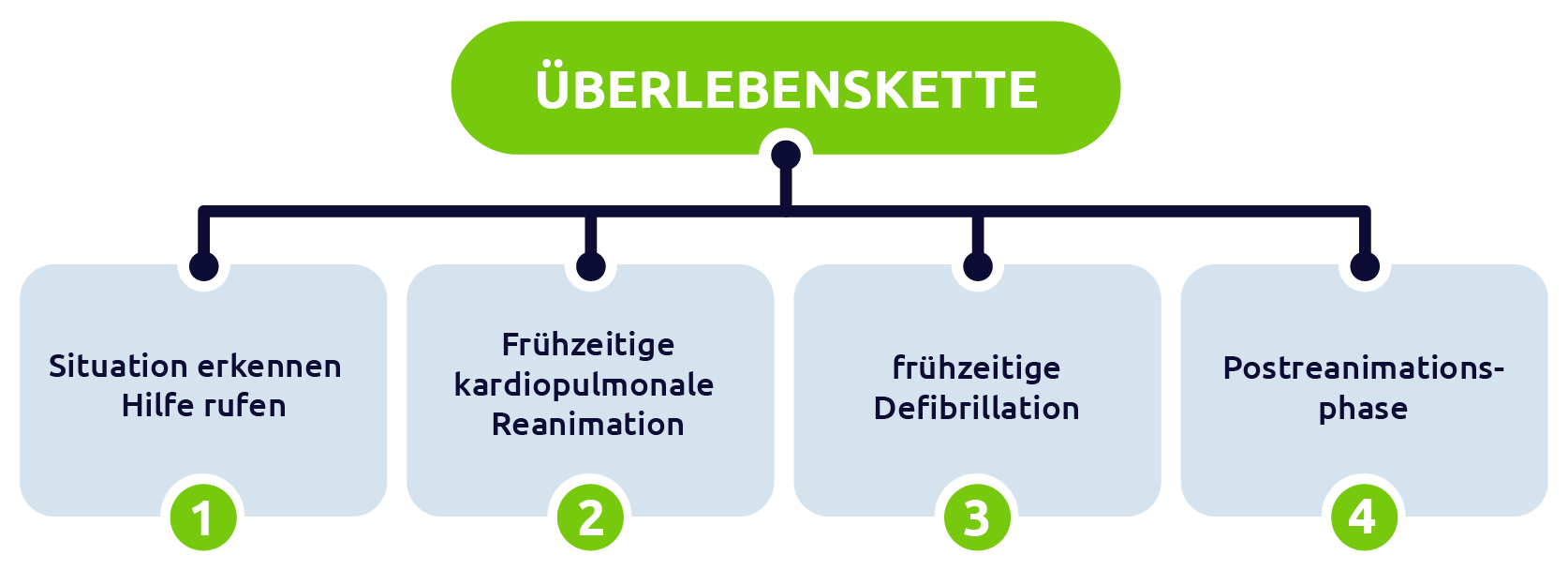 Überlebenskette Reanimation