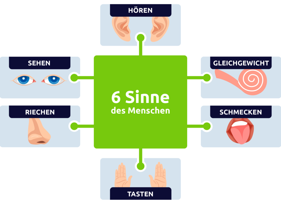 6 Sinne des Menschen