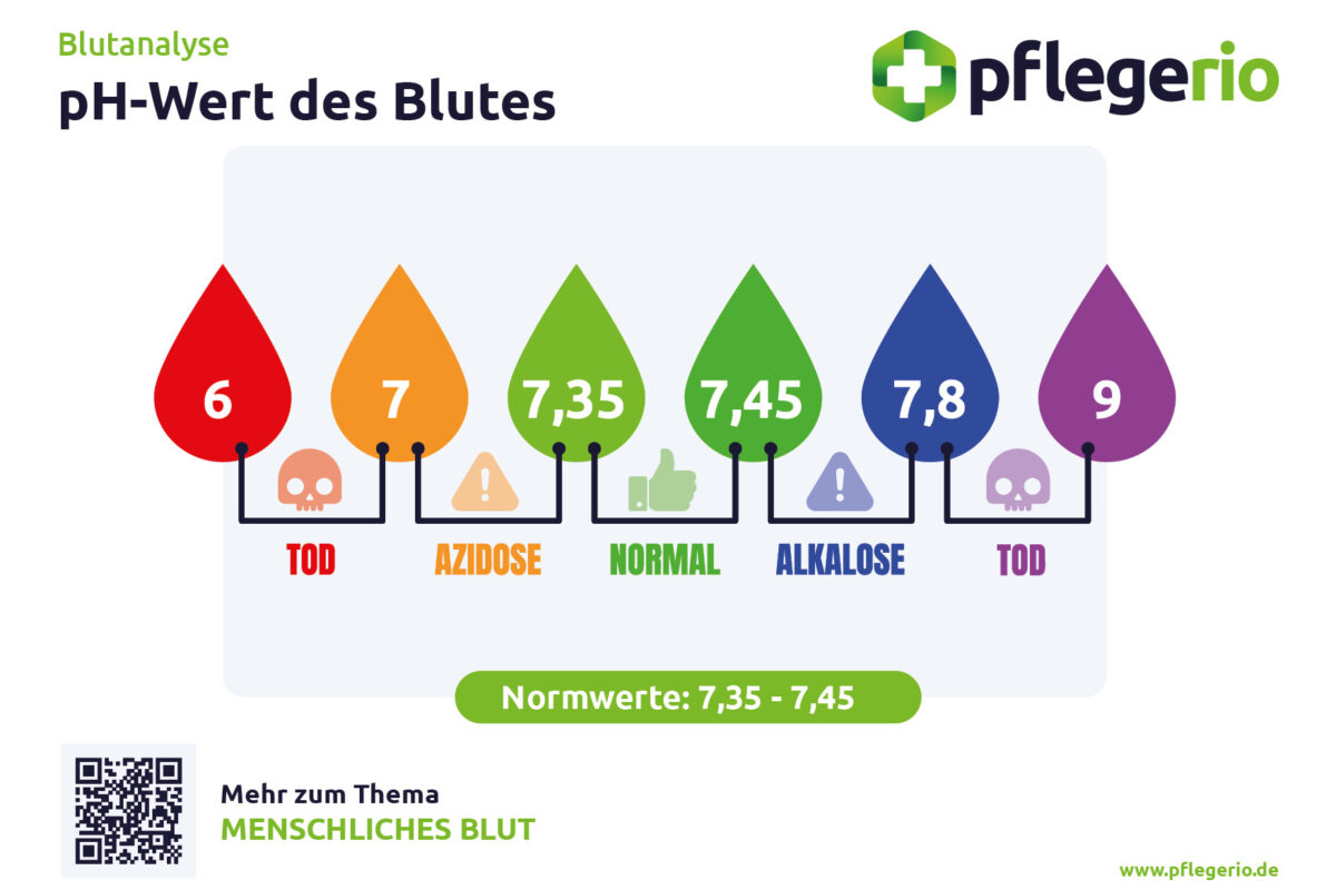 Blut - PH-Wert - Pflegerio